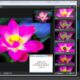 Aktivatsiya Topaz Glow 1.0.2 Repack By Dakov.jpg