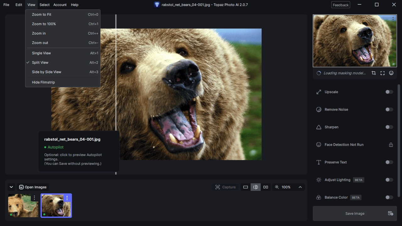 Aktivatsiya Topaz Photo Ai 3.2.0 All Models Portable By Fc Portables.webp