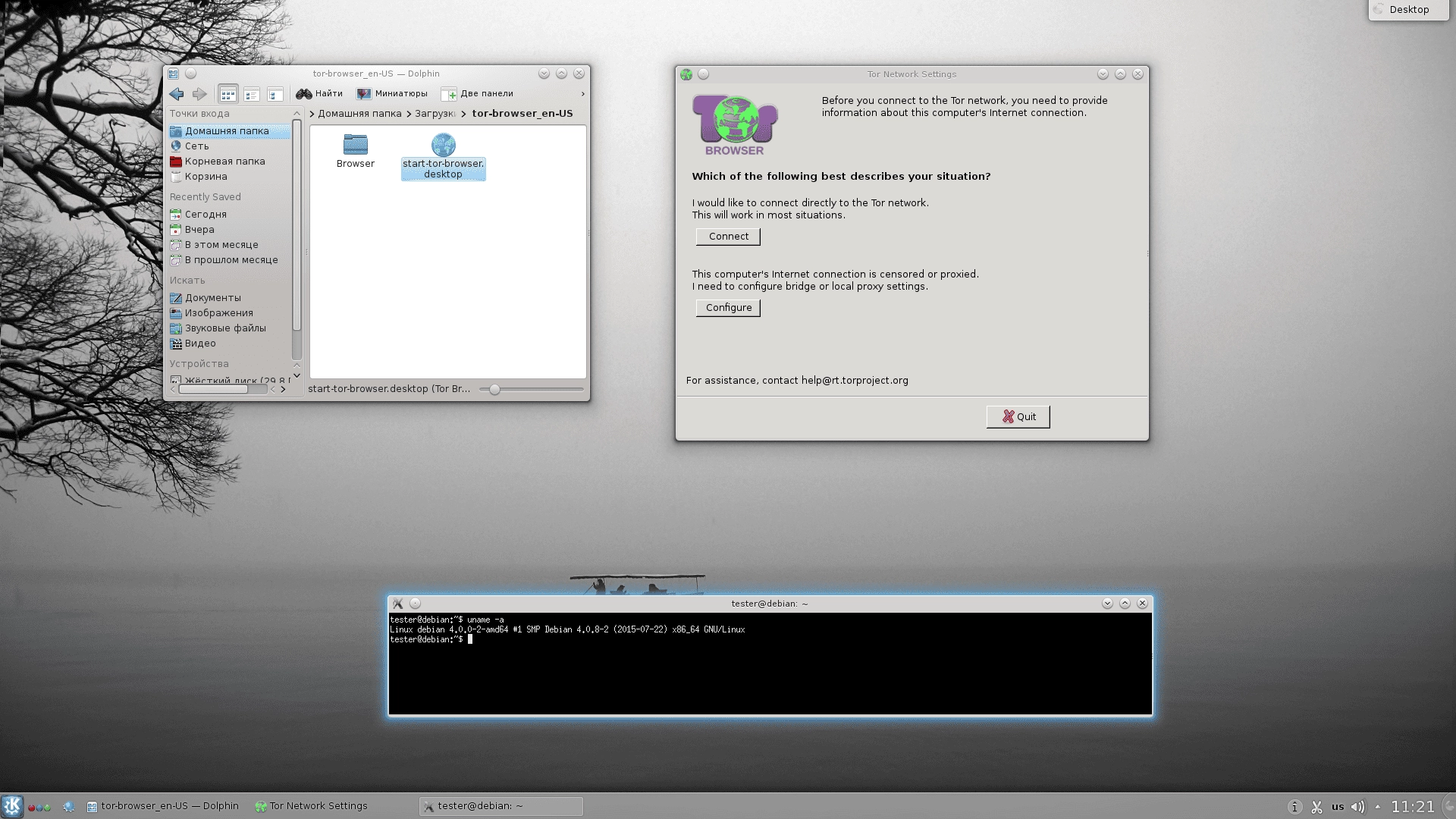 Aktivatsiya Tor Browser 5.0.3.webp