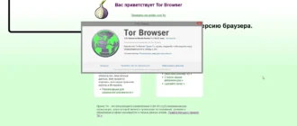 Aktivatsiya Tor Browser Bundle 7.0.2 Final.webp