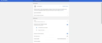 Aktivatsiya Torch Browser 65.0.0.1617 Portable By Foxxapp.webp