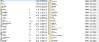 Aktivatsiya Total Commander 11.01 Freemen Mesh.webp