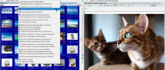 Aktivatsiya Total Commander 9.0a Vim 19 Portable By Matros.webp