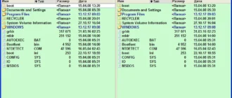Aktivatsiya Total Commander 9.22a Podarok Edition Lite.webp