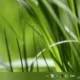 Aktivatsiya Translucenttb 9.0.webp