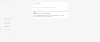 Aktivatsiya Twinkstar 4.11.2000.1901.webp