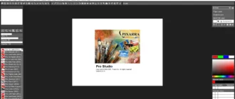 Aktivatsiya Twistedbrush Pro Studio 25.16.webp