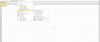 Aktivatsiya Ubitmenu 1.04.webp