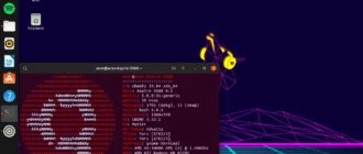 Aktivatsiya Ubuntu 19.10 2xdvd.webp