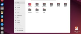 Aktivatsiya Ubuntu 24.10 Oracular Oriole 2xdvd.webp