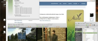 Aktivatsiya Ubuntu Mint Mate Rel22.0.25 Dlya Doma I Dlya Igr Yadro 4.2 Wine Csmt 1xdvd.webp