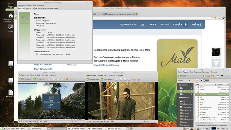 Aktivatsiya Ubuntu Mint Mate Rel22.0.25 Dlya Doma I Dlya Igr Yadro 4.2 Wine Csmt 1xdvd.webp