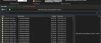 Aktivatsiya Ultrasearch Professional 4.6.1.1100 Repack By Elchupacabra.webp