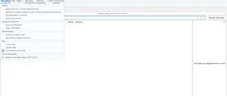 Aktivatsiya Ultrasearch Professional 4.6.4.1107.webp