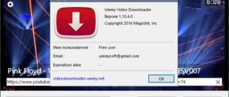 Aktivatsiya Ummy Video Downloader 1.10.10.7 Repack By Elchupacabra.webp