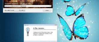 Aktivatsiya Ummy Video Downloader 1.4.0.3.webp