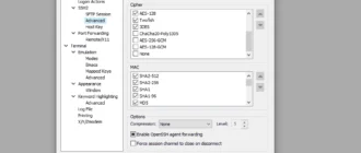 Aktivatsiya Vandyke Securecrt 9.3.1 Build 2929.webp
