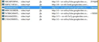 Aktivatsiya Videocacheview 2.90.webp