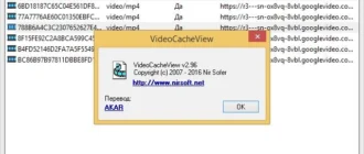 Aktivatsiya Videocacheview 2.96.webp