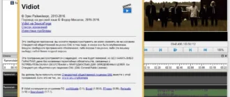 Aktivatsiya Vidiot 0.3.16.webp