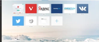Aktivatsiya Vivaldi 1.0.249.12 Technical Preview.webp