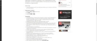 Aktivatsiya Vivaldi 1.0.283.8 Technical Preview.webp
