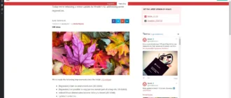 Aktivatsiya Vivaldi 1.14.1077.45 Final.webp