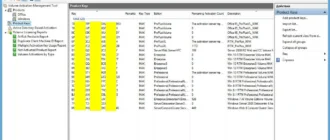 Aktivatsiya Volume Activation Management Tool 3.1 Version 10.1.10586.0.webp