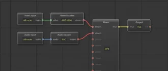 Aktivatsiya Voukoderpro 2.0.10.webp