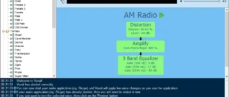 Aktivatsiya Voxal Voice Changer Plus 2.0.webp