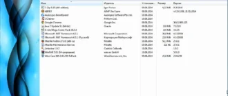 Aktivatsiya Windows 7 Professional Kottosoft V.10.8.14.webp