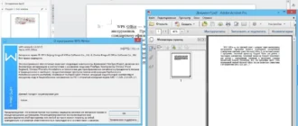 Aktivatsiya Wps Office 10 9.1.0.5217 Portable By Portablewares.webp