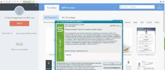 Aktivatsiya Wps Office Premium 10.2.0.7478 Portable By Baltagy.webp