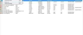 Aktivatsiya Webbrowserpassview 1.70 Portable.webp