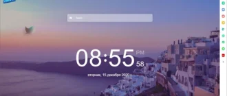 Aktivatsiya Whale Browser 3.19.166.16.webp