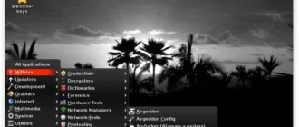 Aktivatsiya Wifislax 2.4 1xdvd.webp