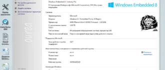 Aktivatsiya Win 8.1 Embedded Industry Pro By 43 Region.webp