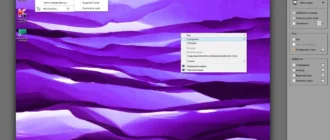 Aktivatsiya Winsnap 6.1.1 Repack By Kpojiuk.webp