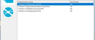 Aktivatsiya Wintohdd 6.6.1 Free Pro Enterprise Technician Repack By Dodakaedr.webp