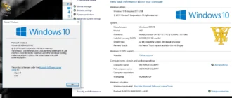 Aktivatsiya Windows 10 Dws By Wzt.webp