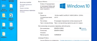 Aktivatsiya Windows 10 Enterprise X64 Micro 21h1.19043.985 By Zosma.webp