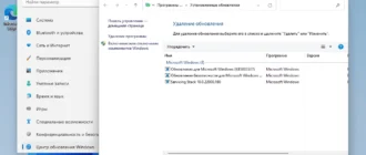 Aktivatsiya Windows 11 21n2 By Sergei Strelec.webp