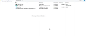 Aktivatsiya Windows 11 24h2 26100.1742 5in1 By Smokieblahblah .10.05.webp