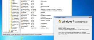 Aktivatsiya Windows 7 Sergei Strelec X64 6.1.webp