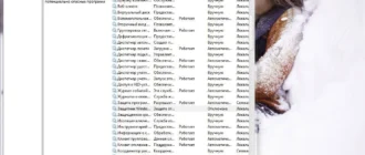 Aktivatsiya Windows 7 Ultimate Sp1 By Yellosoft Carbon V.3.webp