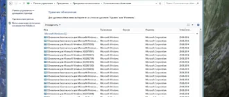 Aktivatsiya Windows 8.1 Enterprise By Doom V.1.06.webp