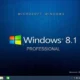 Aktivatsiya Windows 8.1 Pro Elgujakviso Edition V03.11.14.webp