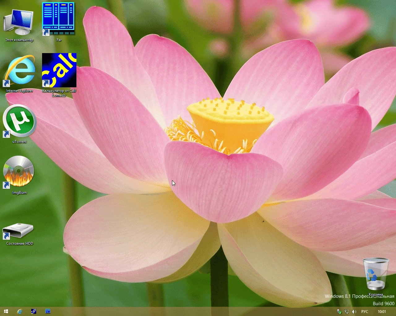 Aktivatsiya Windows 8.1 Pro With Update 6.3.9600.17031 Lite 3 By Divet.webp