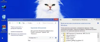 Aktivatsiya Windows 8.1 Professional Vl With Update By Emin.webp