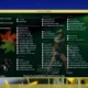 Aktivatsiya Windows Post Install Wizard By Startsoft Cowboy Style Lite 07 2020.webp